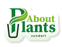 About Plants